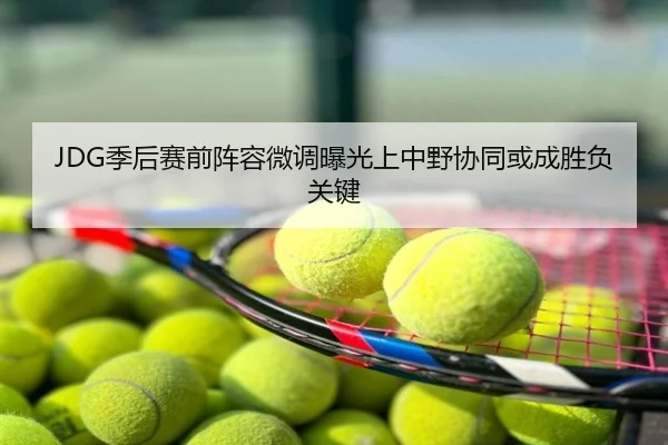 JDG季后赛前阵容微调曝光上中野协同或成胜负关键